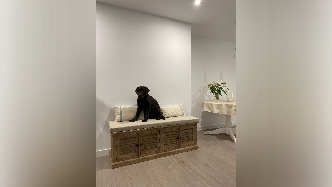 Independizarse - Imagen 4